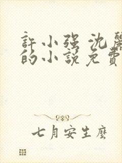 许小强 沈丽娟的小说免费阅读