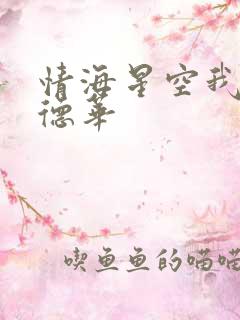 情海星空我与刘德华