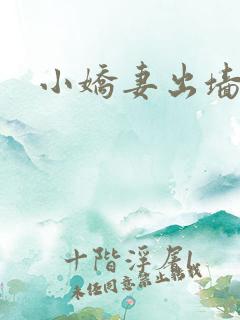 小娇妻出墙记
