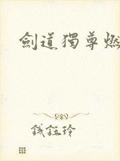 剑道独尊燃文