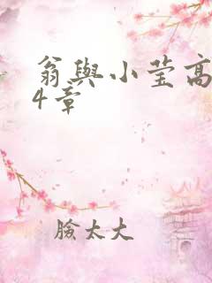 翁与小莹高潮24章