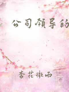 公司领导的老婆