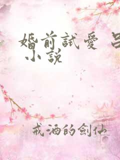 婚前试爱 吕颜 小说