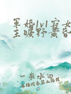 军婚1v1宠女主旷野黄昏