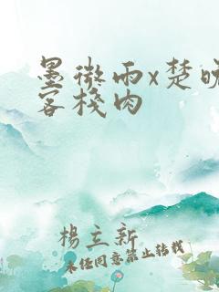 墨微雨x楚晚宁客栈肉