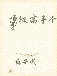 顶级高手全文免费