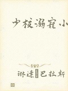 少校溺宠小小妻