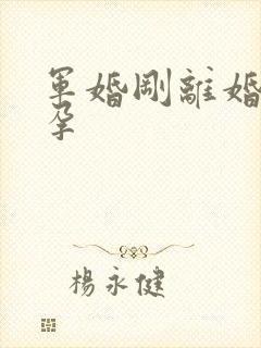 军婚刚离婚就怀孕