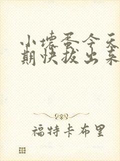 小坏蛋今天危险期快拔出来