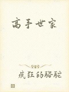 高手世家