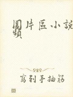 图片区小说区视频