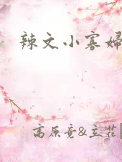 辣文小寡妇