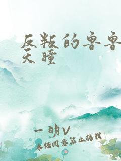 反叛的鲁鲁修之天瞳