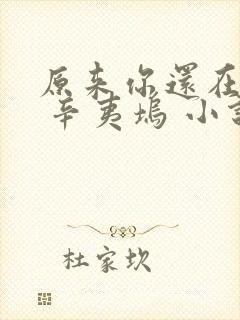 原来你还在这里 辛夷坞 小说