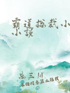 霸道总裁小娇妻小说