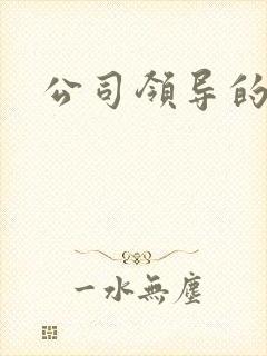 公司领导的老婆