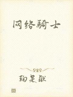 网络骑士