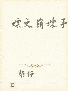 嫖文崩坏手册