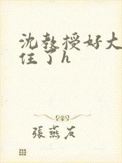 沈教授好大含不住了h