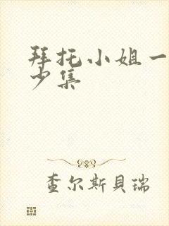 拜托小姐一共多少集