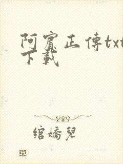 阿宾正传txt下载