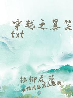 穿越之暴笑王妃txt