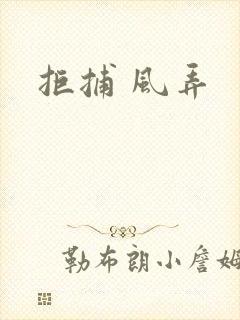 拒捕 风弄