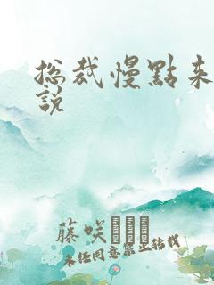 总裁慢点来 小说