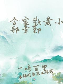 合家欢黄小梅全部章节