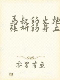 马叔的火炮顶在张妍的身上