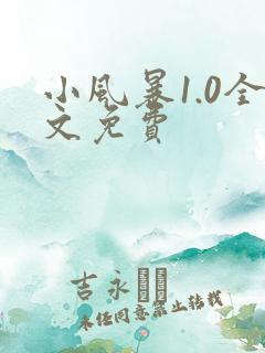 小风暴1.0全文免费