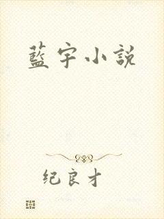 蓝宇小说