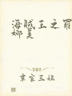 海贼王之罗宾h娜美