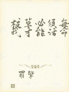 校草必须每天吸我才能活命[穿书]