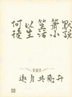 何以笙箫默之婚后生活小说