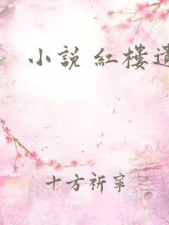 小说 红楼遗秘