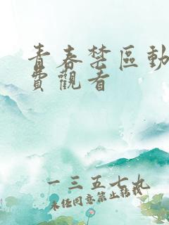 青春禁区动漫免费观看