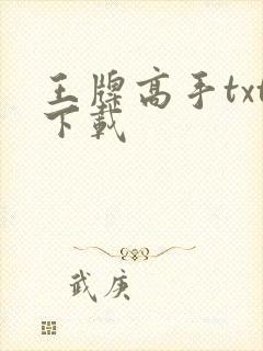 王牌高手txt下载