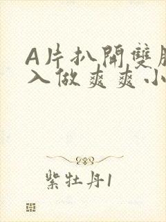 A片扒开双腿进入做爽爽小说