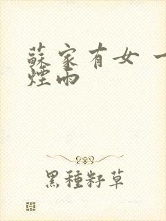 苏家有女 一蓑烟雨