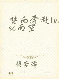 双向奔赴1v1sc南望