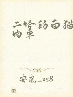 二哈的白猫师尊肉车