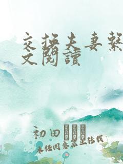 交换夫妻系列全文阅读