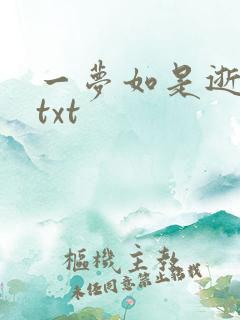 一梦如是逝水长txt
