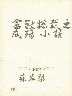 禽兽总裁之虐爱成殇 小说