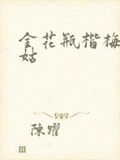 金花瓶楷梅花尼姑