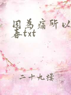 因为痛所以叫青春txt