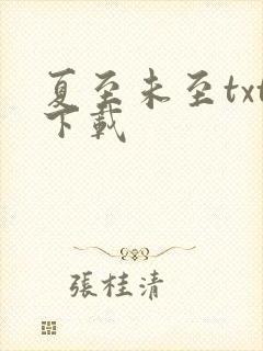 夏至未至txt下载