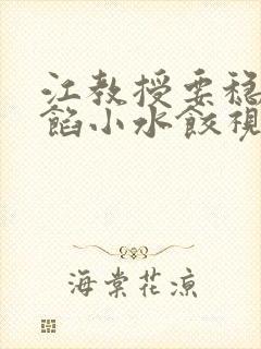 江教授要稳住肉馅小水饺视频