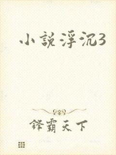 小说浮沉3